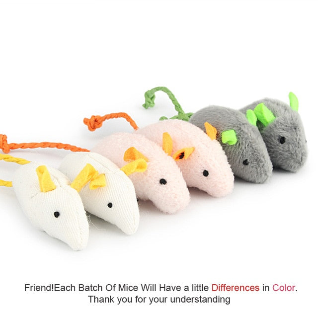 Mouse Cat Toys! (6pcs) - ShopAfusion